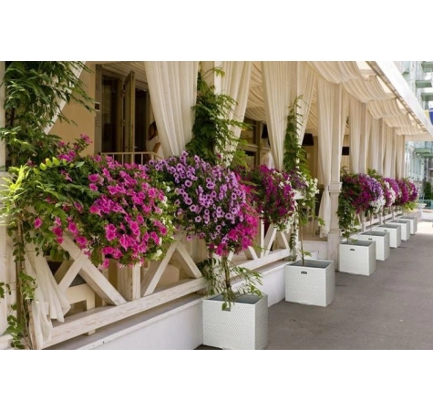 Donica ogrodowa technorattanowa kwadratowa 46x46x46 Zielony