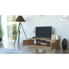 RTV Malwa 120 ARTISAN-4